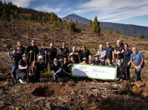 El Voluntariado de Fundación DISA ayuda a la reforestación de la zona del Mirador de La Bermeja