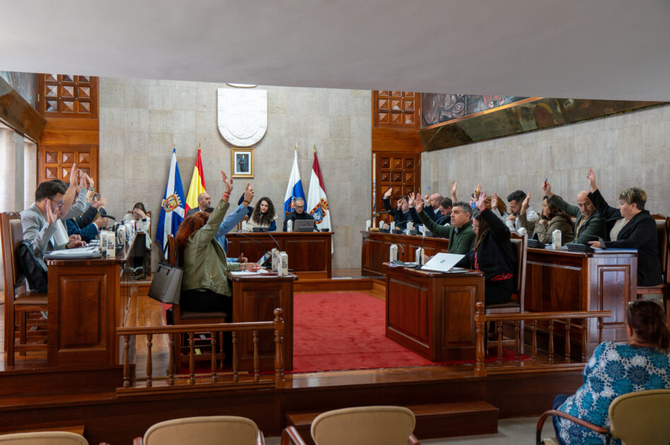 Granadilla de Abona aprueba de forma definitiva la primera ordenanza municipal que regula el alquiler vacacional de viviendas