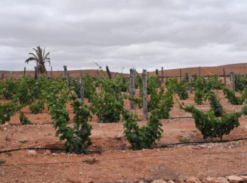 El Cabildo de Fuerteventura impulsa la formación en agricultura regenerativa