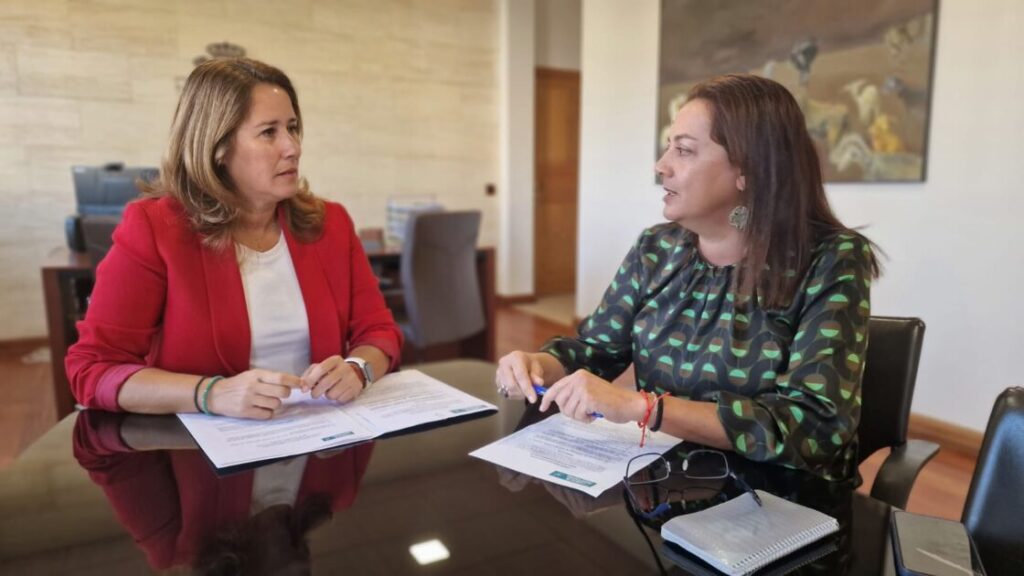 Lola García: “Las Zonas de Aceleración de Energías Renovables deben respetar los criterios que decidamos en Fuerteventura”