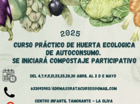 Cabildo y GDR Maxorata organizan un taller sobre huerta ecológica de autoconsumo en La Oliva