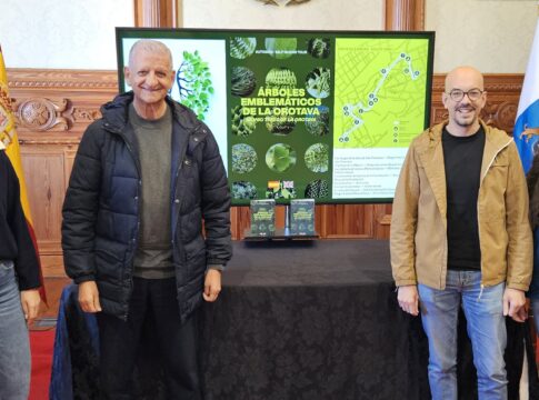 El consistorio villero edita una guía con los árboles más emblemáticos de centro urbano de La Orotava