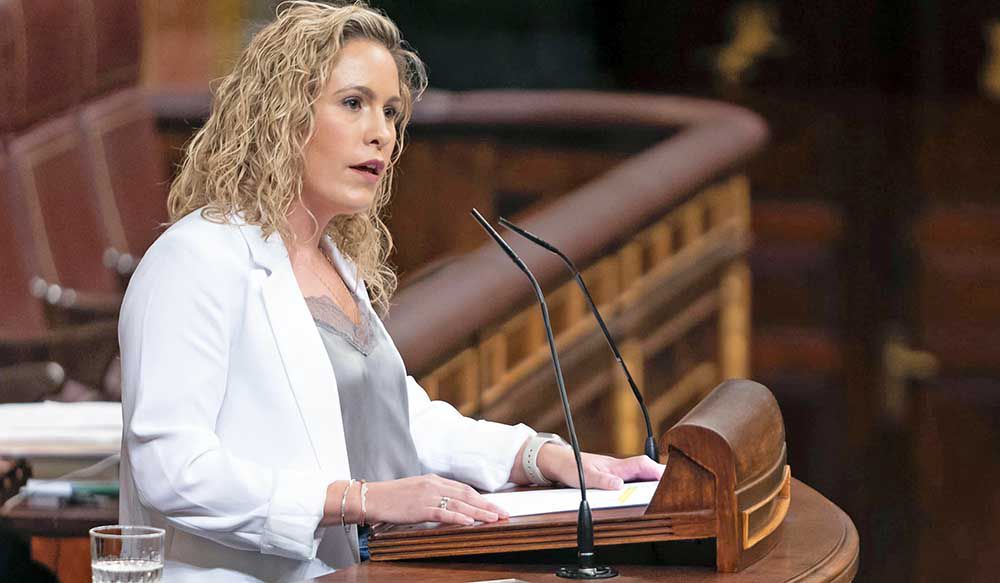 El PSOE no apoya la propuesta del PP para que los palmeros puedan ahorrarse el 60% del IRPF
