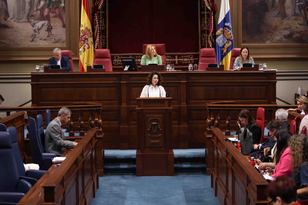 “Es falso insinuar torticeramente que las partidas no ejecutadas se pierden y que se podrían haber destinado a satisfacer las necesidades de los canarios”