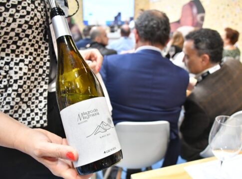 Los Vinos de Lanzarote se alzan con ocho medallas en los Premios CINVE  2025