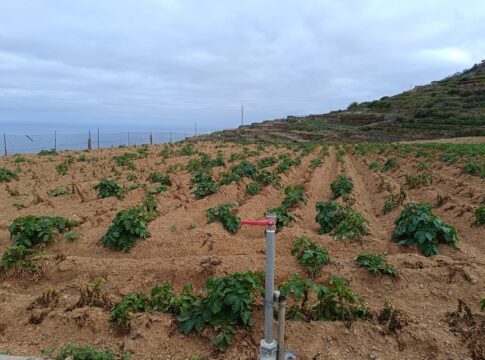 Asaga Canarias demanda mejorar la calidad del agua de riego en la comarca norte para evitar que la excesiva salinidad arruine los cultivos