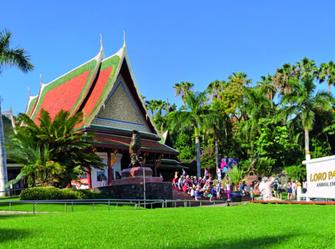Loro Parque y Siam Park celebran la Pascua con actividades especiales para toda la familia