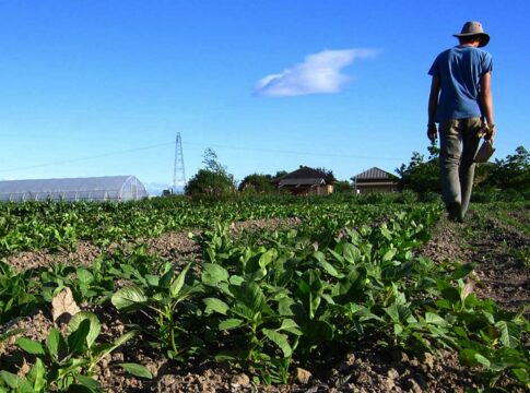 ASAGA insta al Gobierno de Canarias a presionar al Estado para que transfiera los 25 millones adeudados del  POSEI adicional