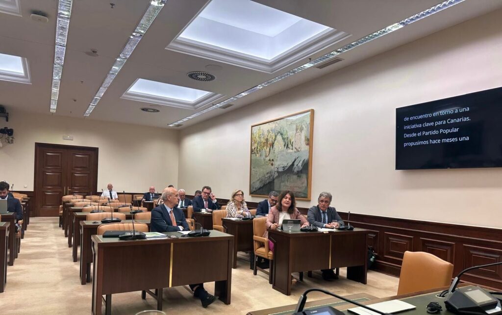 Jimena Delgado afea al PSOE su “incoherencia” y celebra que la RIC se destine a vivienda en Canarias