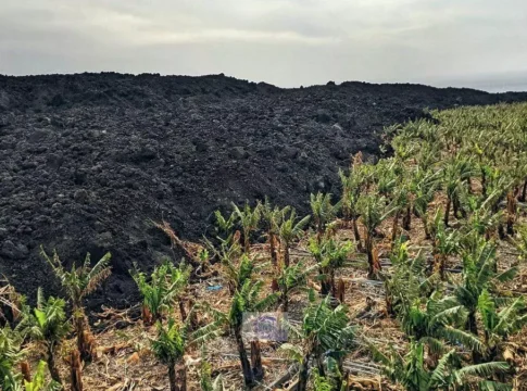 ASEPALMA reclama información oficial "clara" sobre los fondos para la reconstrucción ante la "falta de avances significativos y la creciente incertidumbre"