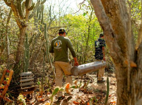 Loro Parque Fundación abre su convocatoria anual para la financiación de proyectos de conservación