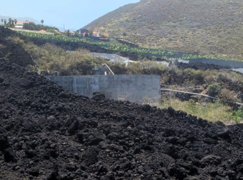 ASEPALMA urge al Gobierno estatal a cumplir la Ley de Presupuestos y desbloquear 200 millones de euros para reconstruir las plataneras del Valle de Aridane