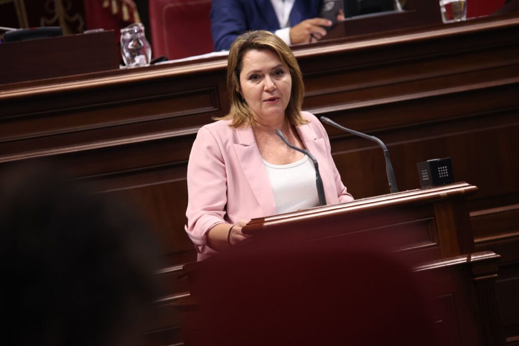 El PSOE reclama una auditoría independiente para aclarar las causas de los apagones en La Palma