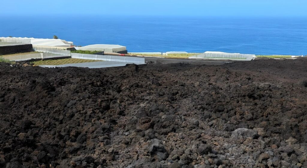 ASEPALMA pide a CC que el Gobierno canario anticipe los fondos incumplidos por el Estado para la reconstrucción agraria tras el volcán