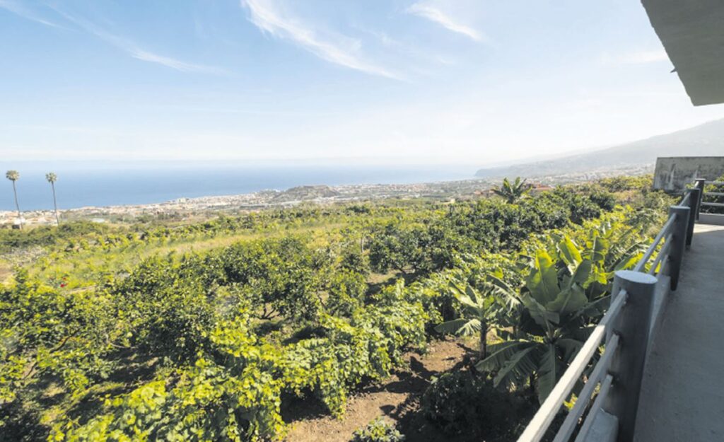 Los ingenieros agrónomos alertan sobre el impacto de la nueva regulación de alojamientos turísticos al aire libre en la actividad agraria