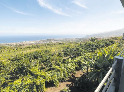 Los ingenieros agrónomos alertan sobre el impacto de la nueva regulación de alojamientos turísticos al aire libre en la actividad agraria