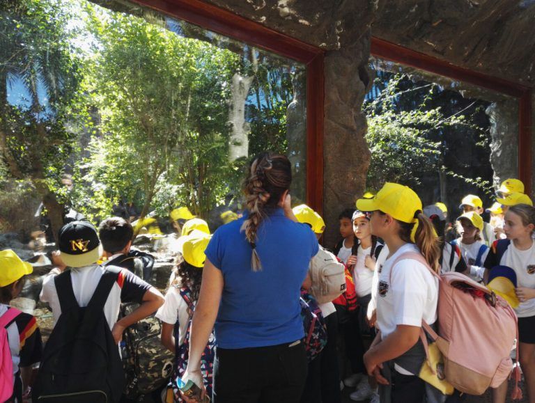 Loro Parque, Loro Parque Fundación y Poema del Mar llevan la educación ambiental a la comunidad escolar de Canarias