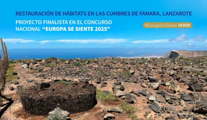 El proyecto de restauración de las Cumbres de Famara, finalista en el concurso nacional ‘Europa se Siente’