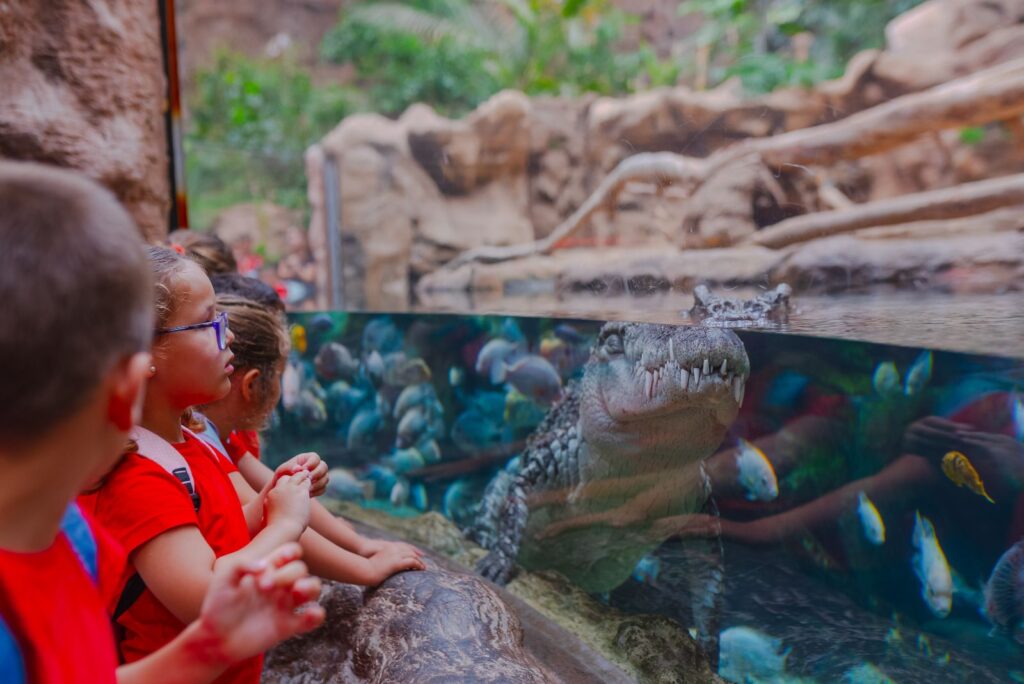 Más de 40.000 escolares participan en los programas educativos del Grupo Loro Parque