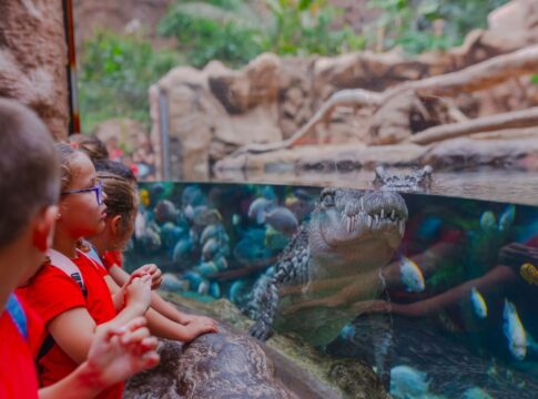 Más de 40.000 escolares participan en los programas educativos del Grupo Loro Parque
