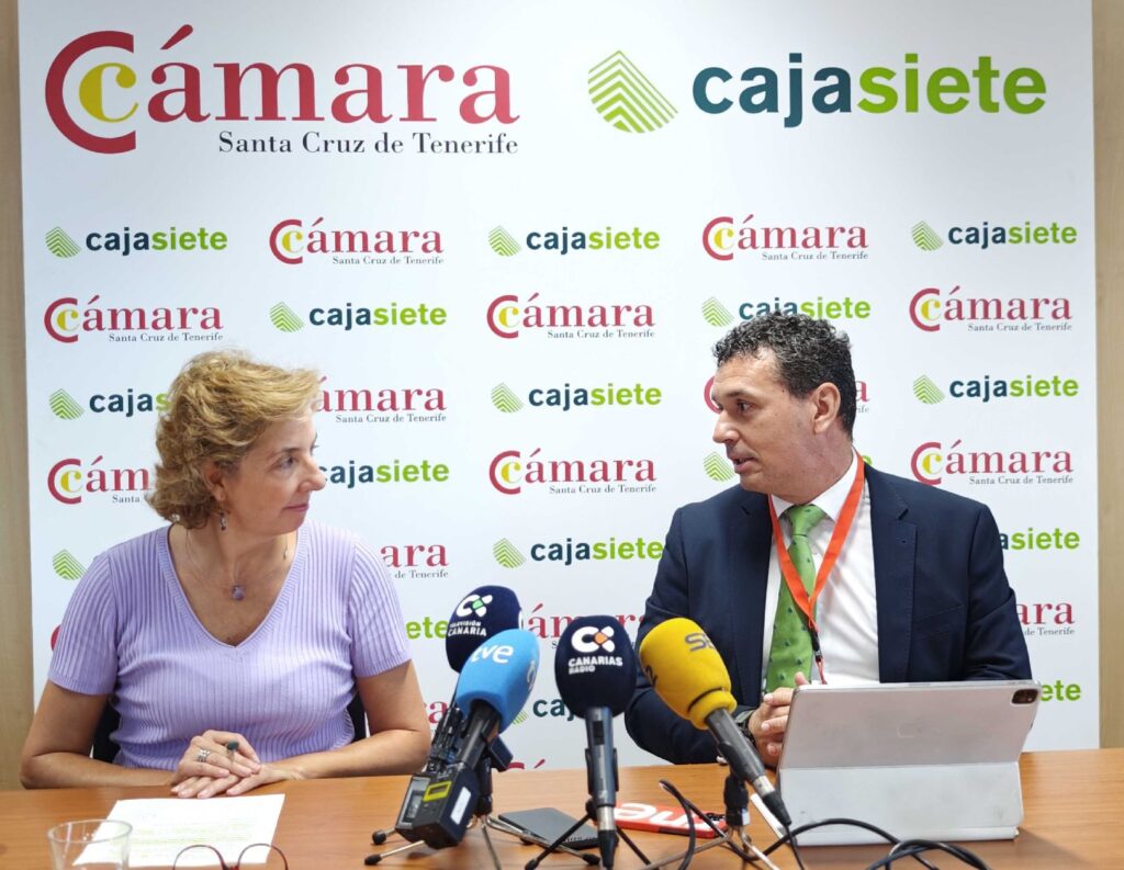 Las ventas y el empleo en el comercio aumentan sin lograr frenar la desaparición de tiendas en Canarias