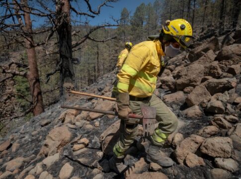 Granadilla de Abona refuerza la prevención de incendios en las zonas altas del municipio