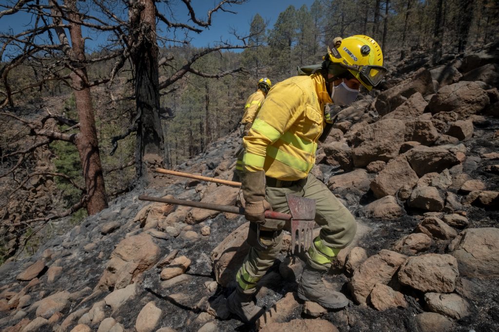 Granadilla de Abona refuerza la prevención de incendios en las zonas altas del municipio