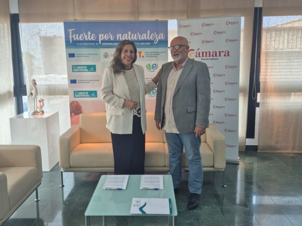 Cabildo y la Cámara de Comercio crean AgroFuer para reactivar la economía del interior de la isla