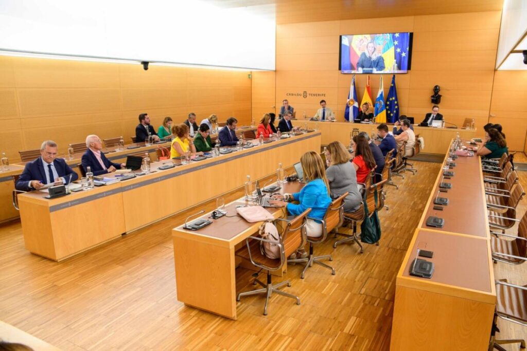 El Cabildo destaca la unidad de acción de todas las administraciones y los partidos políticos para afrontar el brote de filoxera