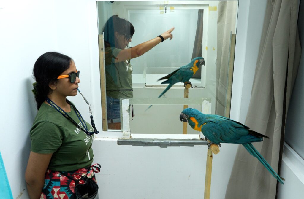 Loro Parque Fundación impulsa un hallazgo pionero sobre el aprendizaje en loros