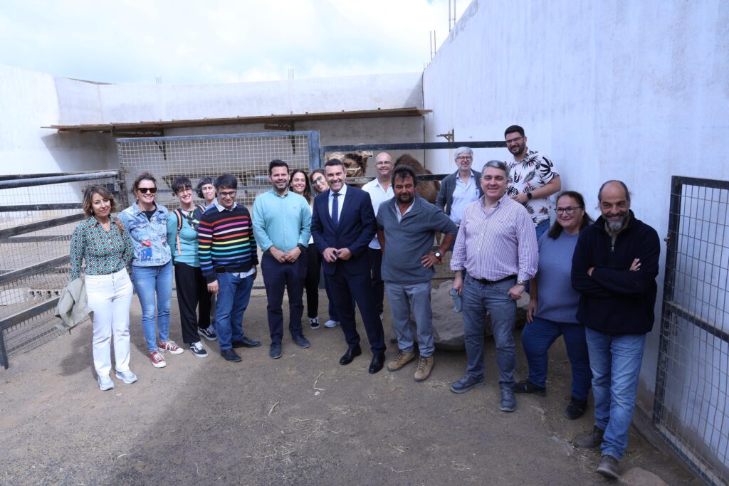 El Cabildo de Lanzarote celebra la inclusión del camello canario en las ayudas del Plan Estratégico de la Política Agraria Común 2023-2027
