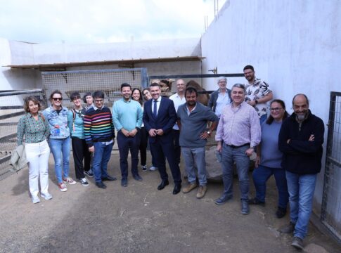 El Cabildo de Lanzarote celebra la inclusión del camello canario en las ayudas del Plan Estratégico de la Política Agraria Común 2023-2027