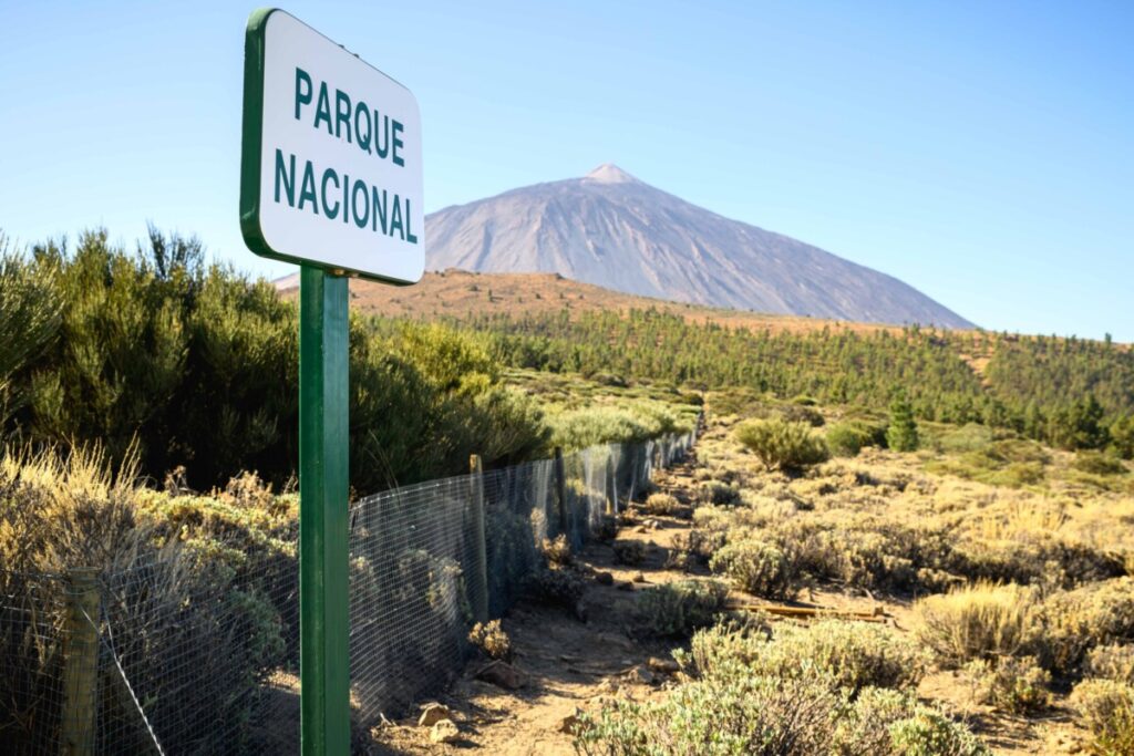 El Cabildo reafirma su compromiso de regular la capacidad de carga y la movilidad en el Parque Nacional del Teide dando prioridad a los residentes