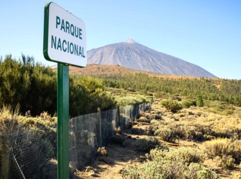 El Cabildo reafirma su compromiso de regular la capacidad de carga y la movilidad en el Parque Nacional del Teide dando prioridad a los residentes