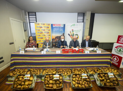 SPAR Gran Canaria comercializará 1.500 toneladas de papas de productores canarios durante el próximo año
