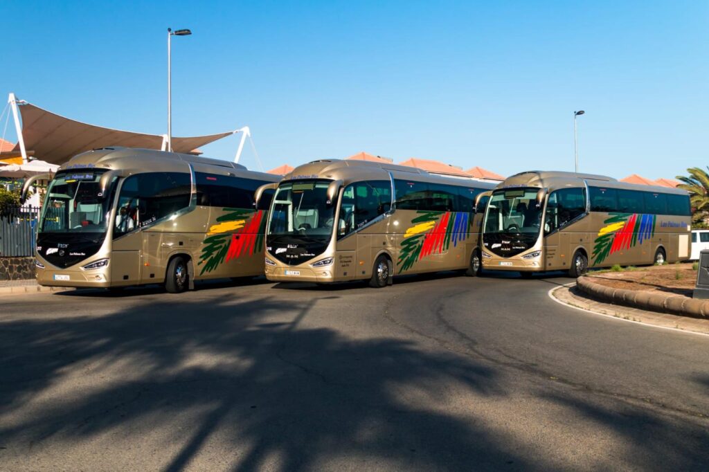 Elizabeth López: “Impulsamos un transporte discrecional más profesional, digital y sostenible en Canarias”