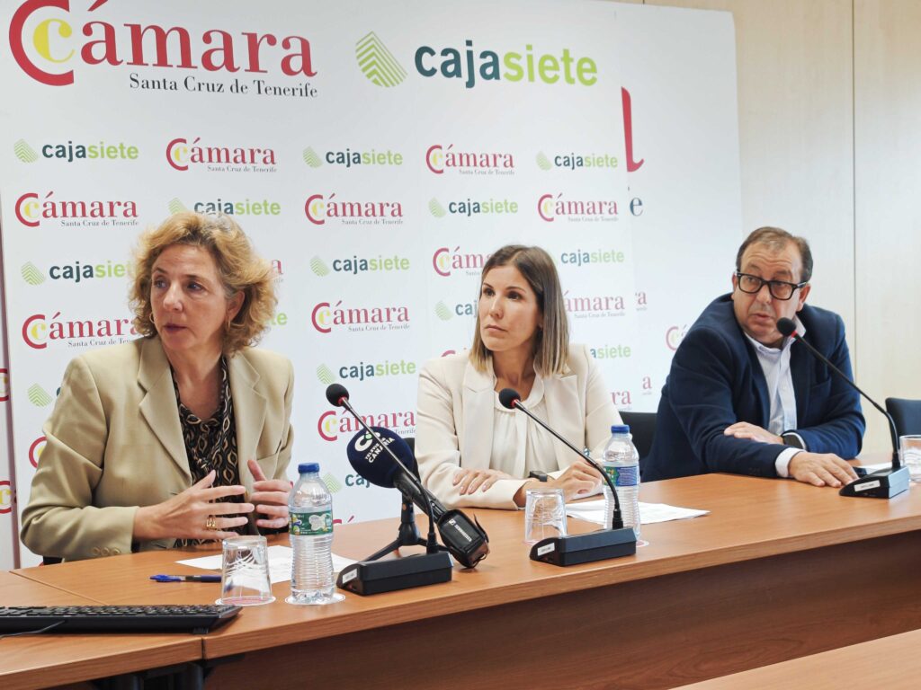 El comercio canario modera su ritmo de crecimiento en el arranque de año