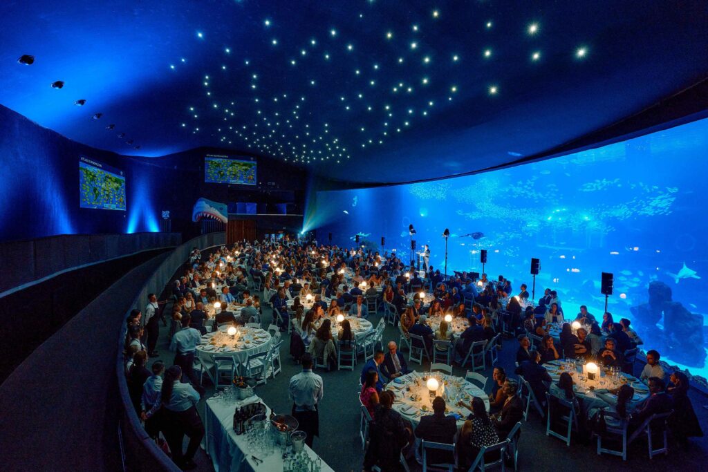Más de 400 personas se dan cita en Poema del Mar en una gala para la protección de los océanos y la biodiversidad marina