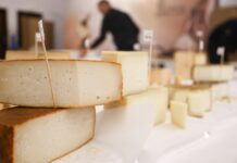 Cinco quesos canarios, premiados en los Cincho Cheese Awards 2026