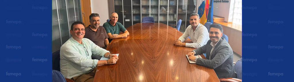 AIELPA presenta su nueva Junta Directiva al Director General de Energía