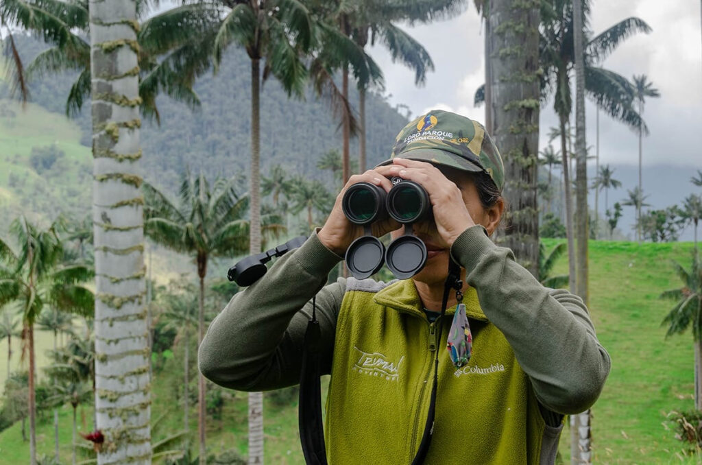 Loro Parque Fundación busca los próximos proyectos que ayudarán a salvar especies amenazadas
