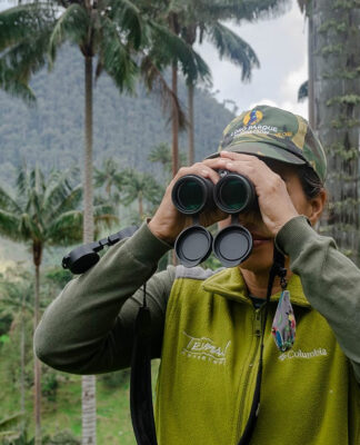 Loro Parque Fundación busca los próximos proyectos que ayudarán a salvar especies amenazadas