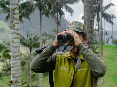 Loro Parque Fundación busca los próximos proyectos que ayudarán a salvar especies amenazadas