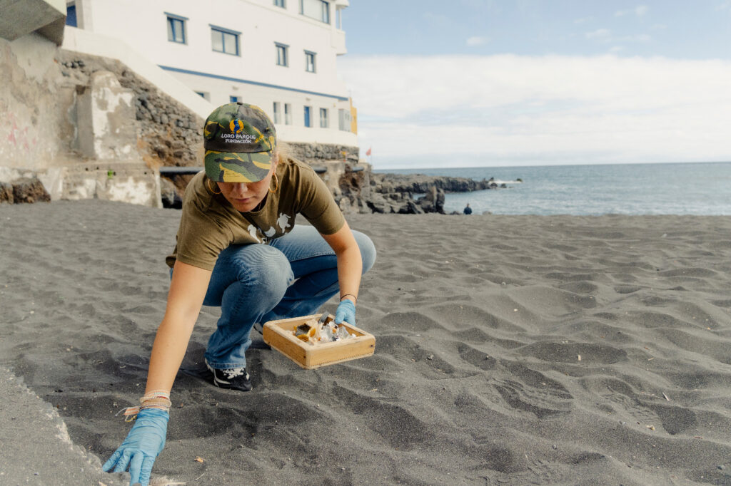 Cybell Kiessling exige una respuesta urgente ante el cierre masivo de playas en Canarias