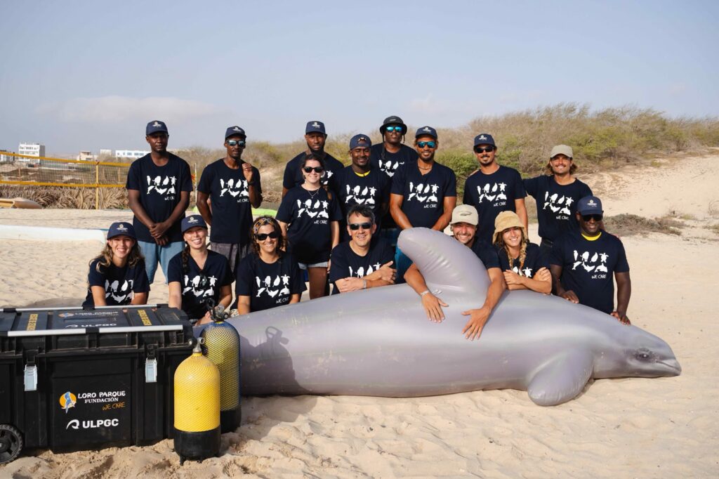 Loro Parque Fundación impulsa en Cabo Verde la formación especializada para el rescate de cetáceos varados