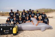 Loro Parque Fundación impulsa en Cabo Verde la formación especializada para el rescate de cetáceos varados