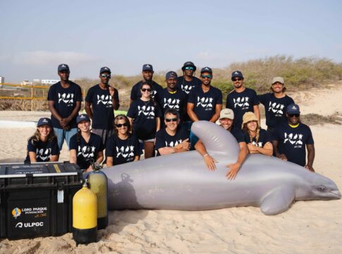 Loro Parque Fundación impulsa en Cabo Verde la formación especializada para el rescate de cetáceos varados