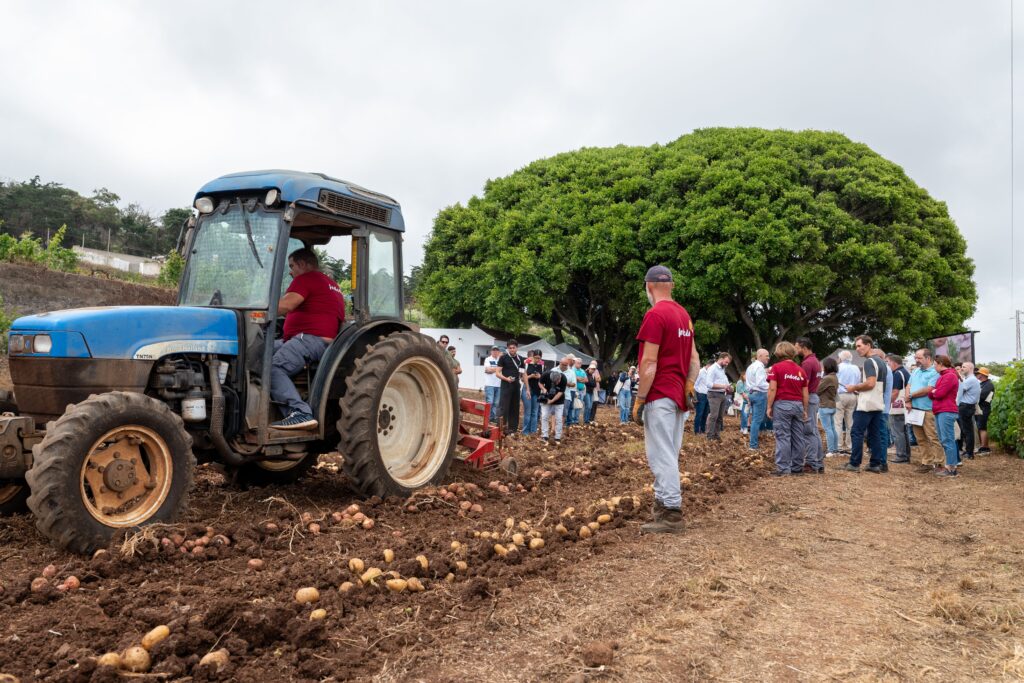 Papatour muestra el potencial de su campo de ensayo