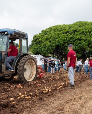 Papatour muestra el potencial de su campo de ensayo