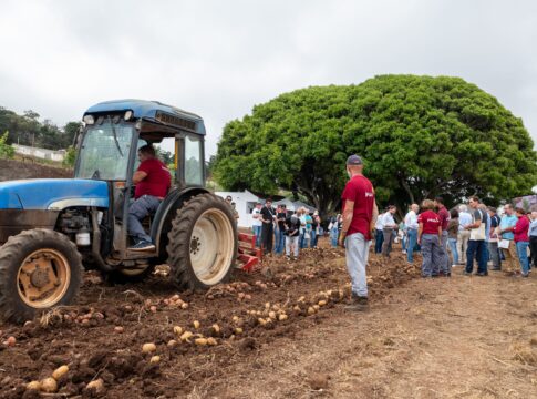Papatour muestra el potencial de su campo de ensayo